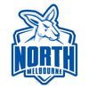 Load image into Gallery viewer, AFL Football Column - UpUpNAwayBalloons