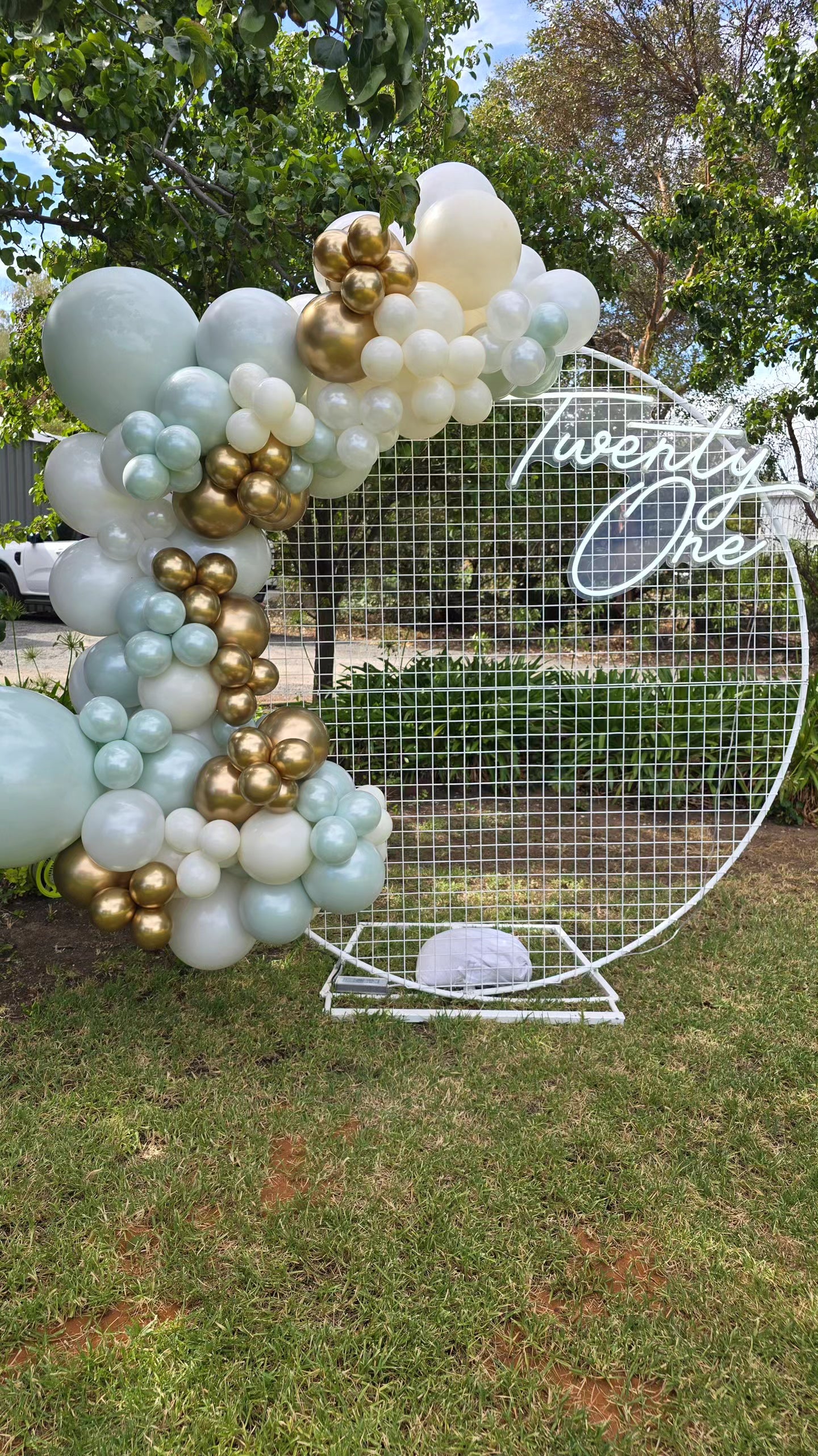 Year 2025 Organic Balloon Garlands (click on photo to view all photos)