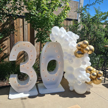 Load image into Gallery viewer, Year 2023 Organic Balloon Garlands (click on photo to view all photos) - UpUpNAwayBalloons