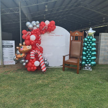 Load image into Gallery viewer, Year 2023 Organic Balloon Garlands (click on photo to view all photos) - UpUpNAwayBalloons