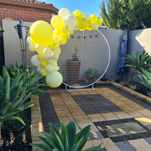 Load image into Gallery viewer, Year 2023 Organic Balloon Garlands (click on photo to view all photos) - UpUpNAwayBalloons