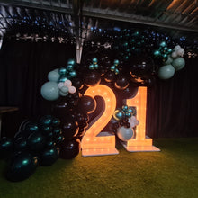 Load image into Gallery viewer, Year 2023 Organic Balloon Garlands (click on photo to view all photos) - UpUpNAwayBalloons
