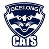 Load image into Gallery viewer, AFL Football Column - UpUpNAwayBalloons
