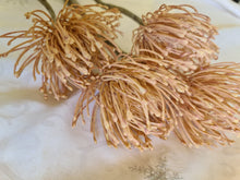 Load image into Gallery viewer, Artificial Flowers and Greenery for hire - available for hire when hiring a backdrop with us and an Organic Balloon Garland by UpUpNAwayBalloons
