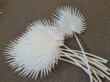Load image into Gallery viewer, Artificial Flowers and Greenery for hire - available for hire when hiring a backdrop with us and an Organic Balloon Garland by UpUpNAwayBalloons
