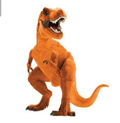 Choose your Kids Theme Bubble Centerpiece