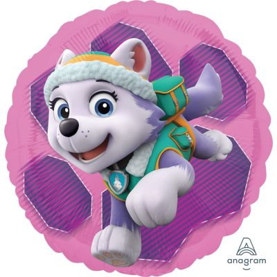 Paw Patrol Skye 45cm Foil Balloon - UpUpNAwayBalloons