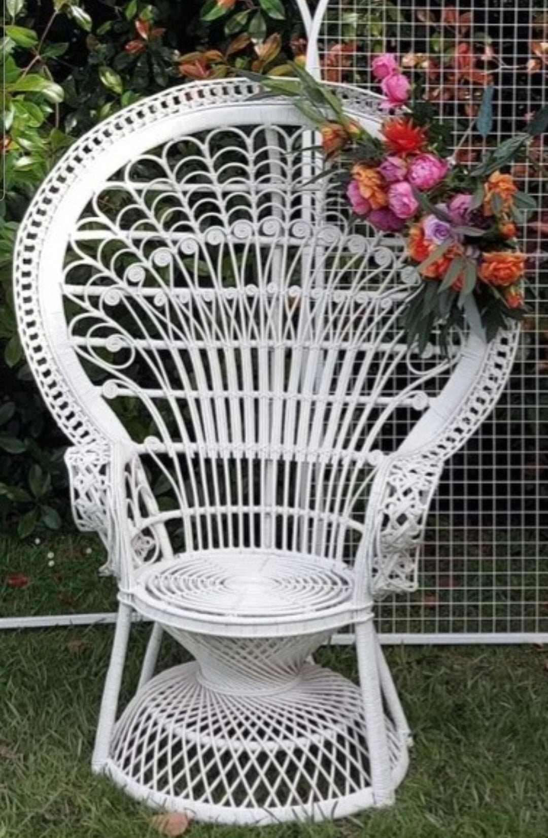 Peacock Chair for Hire - Not available to hire by itself, only with backdrops and Balloons or Hire Flowers. by UpUpNAwayBalloons