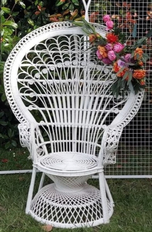 Peacock Chair for Hire - Not available to hire by itself, only with backdrops and Balloons or Hire Flowers. by UpUpNAwayBalloons