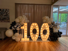 Load image into Gallery viewer, Year 2023 Organic Balloon Garlands (click on photo to view all photos) - UpUpNAwayBalloons
