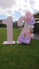 Load image into Gallery viewer, Year 2023 Organic Balloon Garlands (click on photo to view all photos) - UpUpNAwayBalloons
