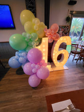 Load image into Gallery viewer, Year 2023 Organic Balloon Garlands (click on photo to view all photos) - UpUpNAwayBalloons
