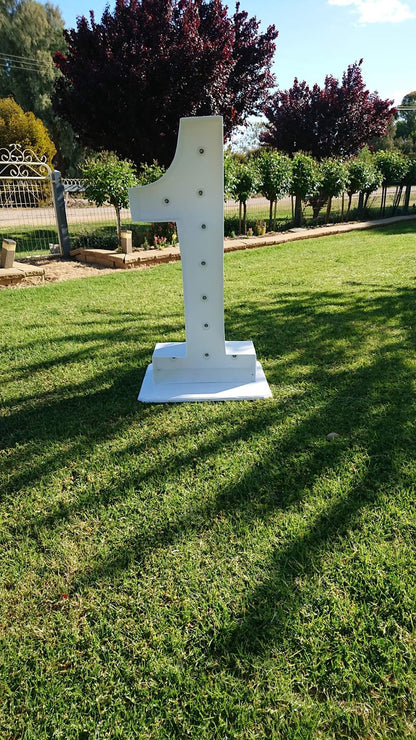 Single Light Up Number Hire - Not available to hire without a Balloon Garland by UpUpNAwayBalloons