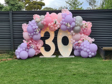 Load image into Gallery viewer, Year 2015 to 2020 Organic Balloon Garlands (click on photo to view) by UpUpNAwayBalloons
