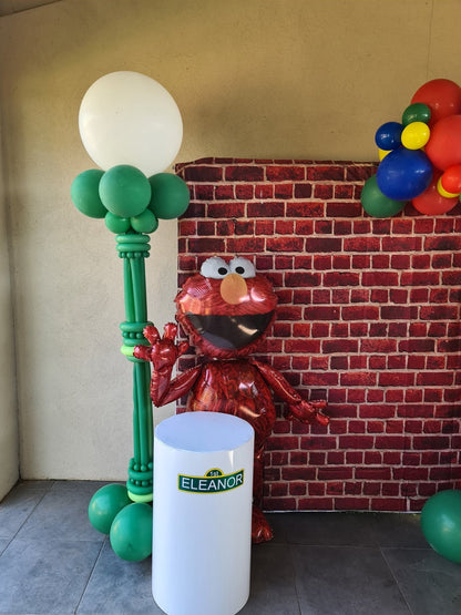 Year 2022 Organic Balloon Garlands (click on photo to view all photos) - UpUpNAwayBalloons