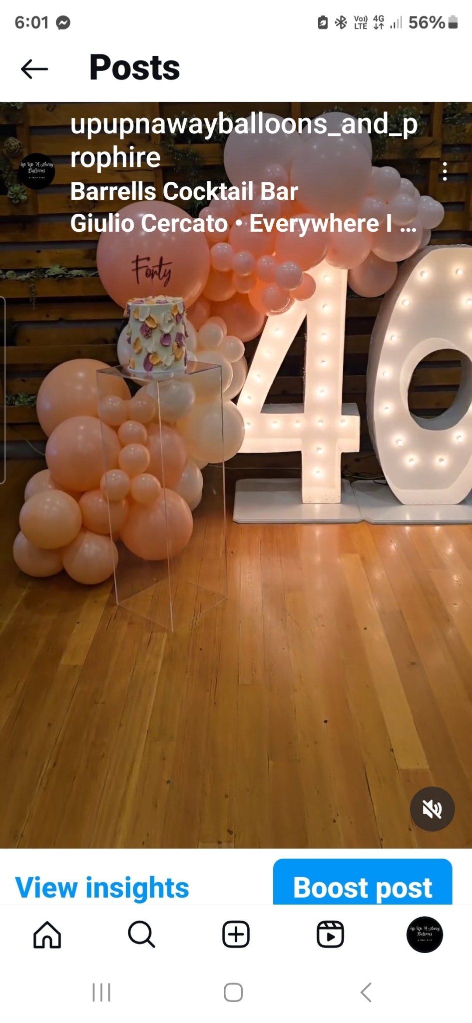 Year 2024 Organic Balloon Garlands (click on photo to view all photos) - UpUpNAwayBalloons
