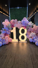 Load image into Gallery viewer, Year 2024 Organic Balloon Garlands (click on photo to view all photos) - UpUpNAwayBalloons

