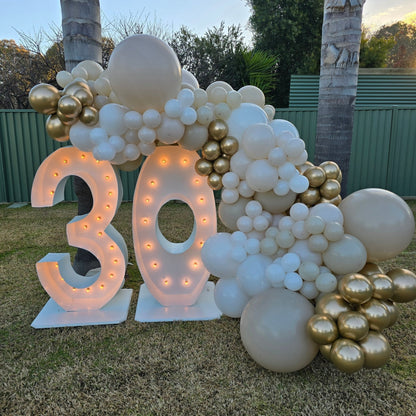 Year 2024 Organic Balloon Garlands (click on photo to view all photos) - UpUpNAwayBalloons