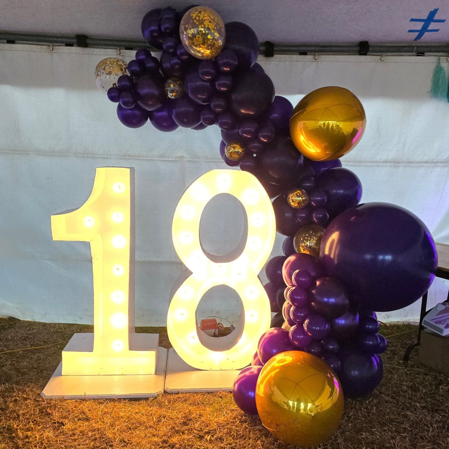 Year 2024 Organic Balloon Garlands (click on photo to view all photos) - UpUpNAwayBalloons