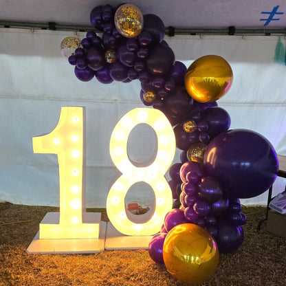 Year 2024 Organic Balloon Garlands (click on photo to view all photos) - UpUpNAwayBalloons