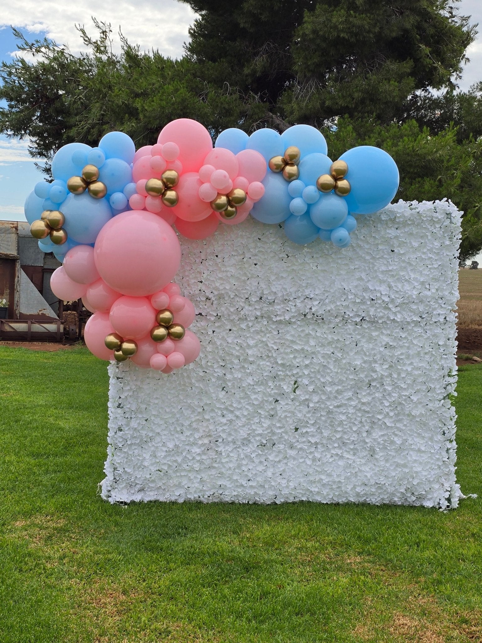 Year 2024 Organic Balloon Garlands (click on photo to view all photos) - UpUpNAwayBalloons