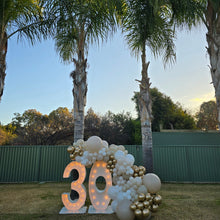 Load image into Gallery viewer, Year 2024 Organic Balloon Garlands (click on photo to view all photos) - UpUpNAwayBalloons
