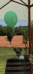 Christmas Aussie Table Centrepiece - UpUpNAwayBalloons