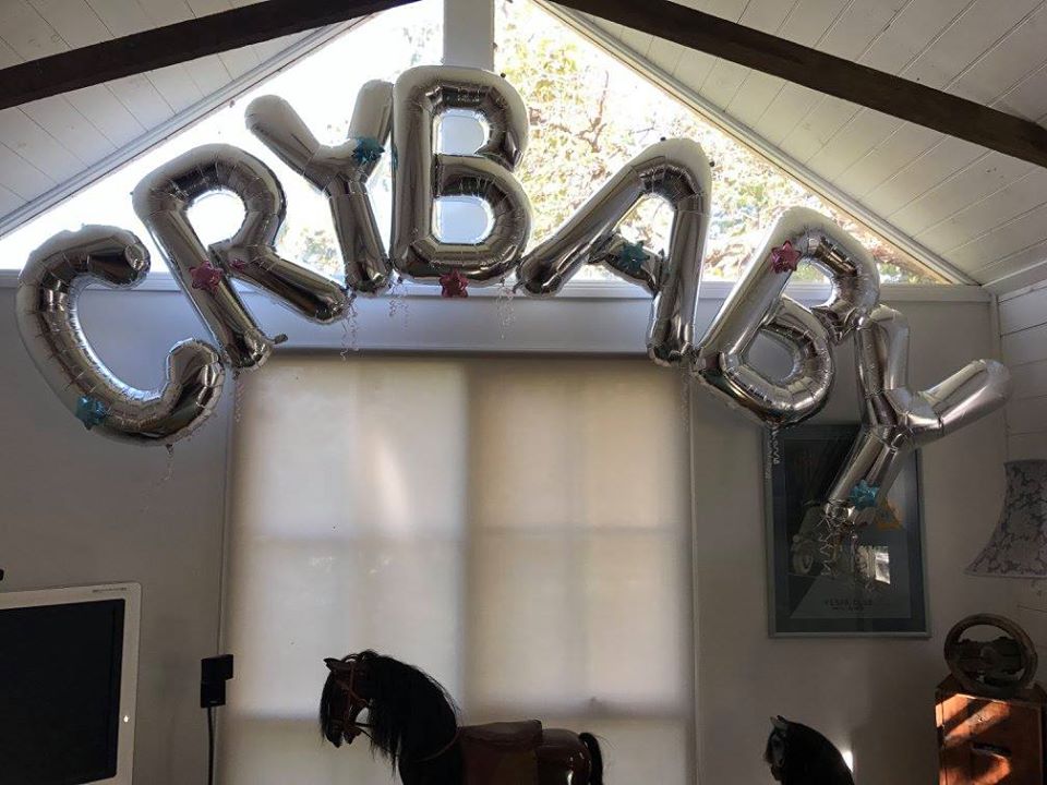 Balloon Letters (priced per letter - specialty custom order) - UpUpNAwayBalloons