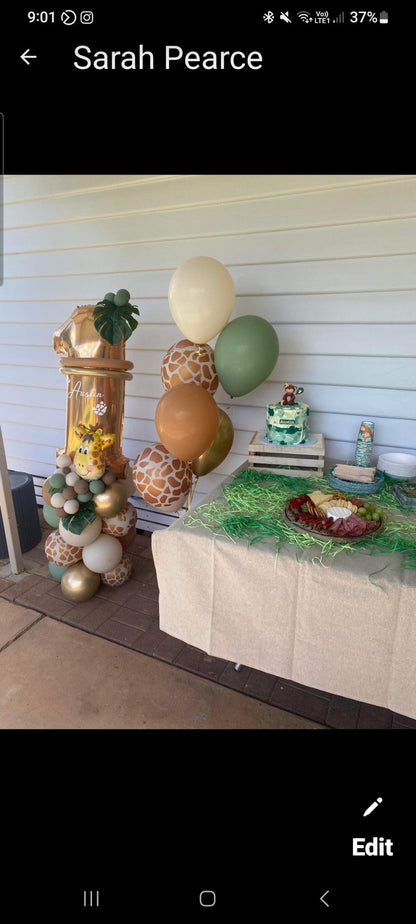 Jungle Theme Personalised 1st Birthday Package 4 - UpUpNAwayBalloons